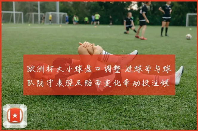 欧洲杯大小球盘口调整 进球率与球队防守表现及赔率变化牵动投注倾向
