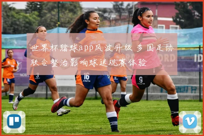 世界杯赌球app风波升级 多国足协联合整治影响球迷观赛体验