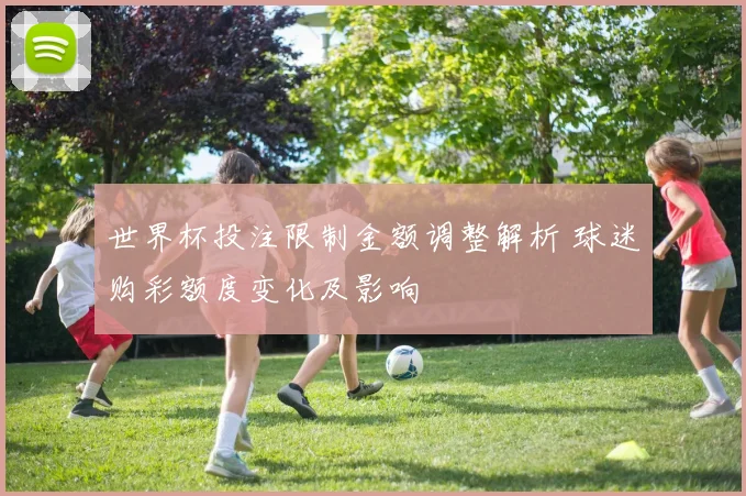 世界杯投注限制金额调整解析 球迷购彩额度变化及影响