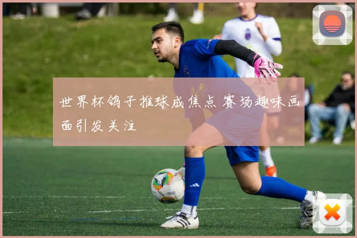 世界杯鸽子推球成焦点 赛场趣味画面引发关注