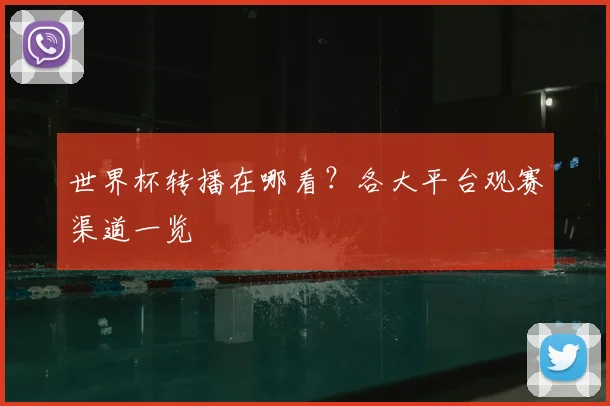 世界杯转播在哪看?各大平台观赛渠道一览