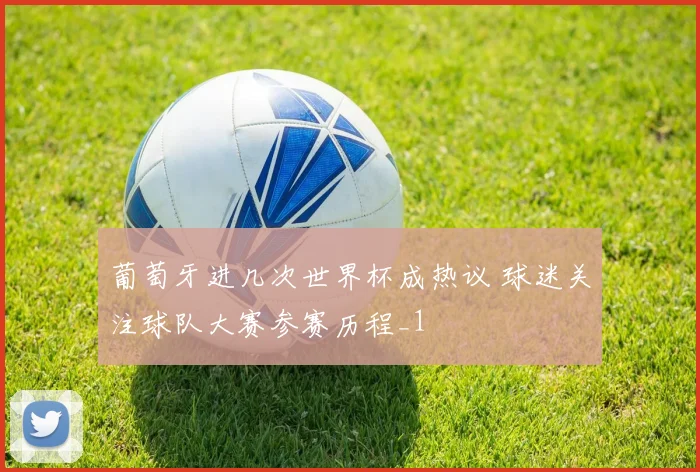 葡萄牙进几次世界杯成热议 球迷关注球队大赛参赛历程_1