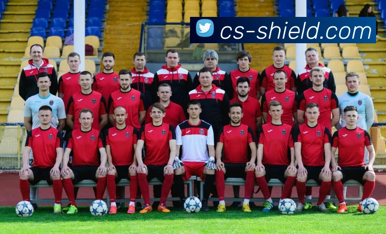 奇异果工作室官网服务体系